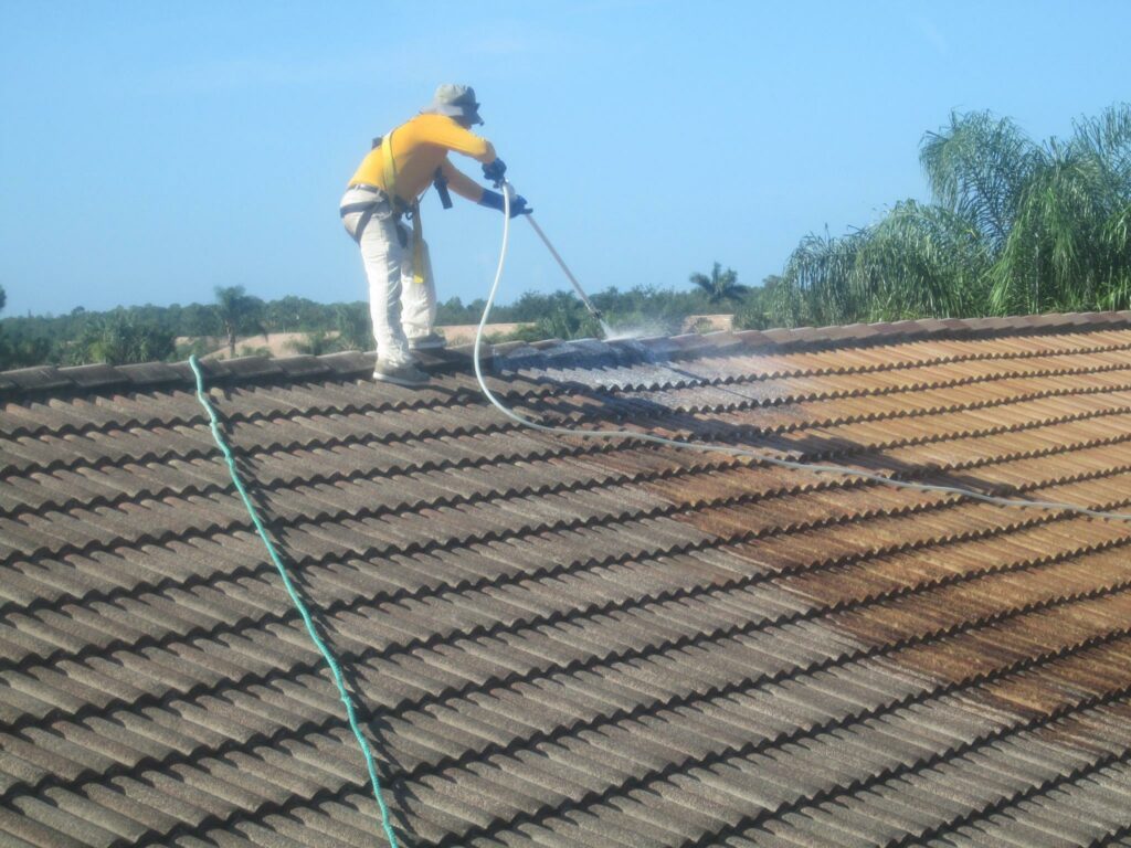roof cleaning Fulshear TX